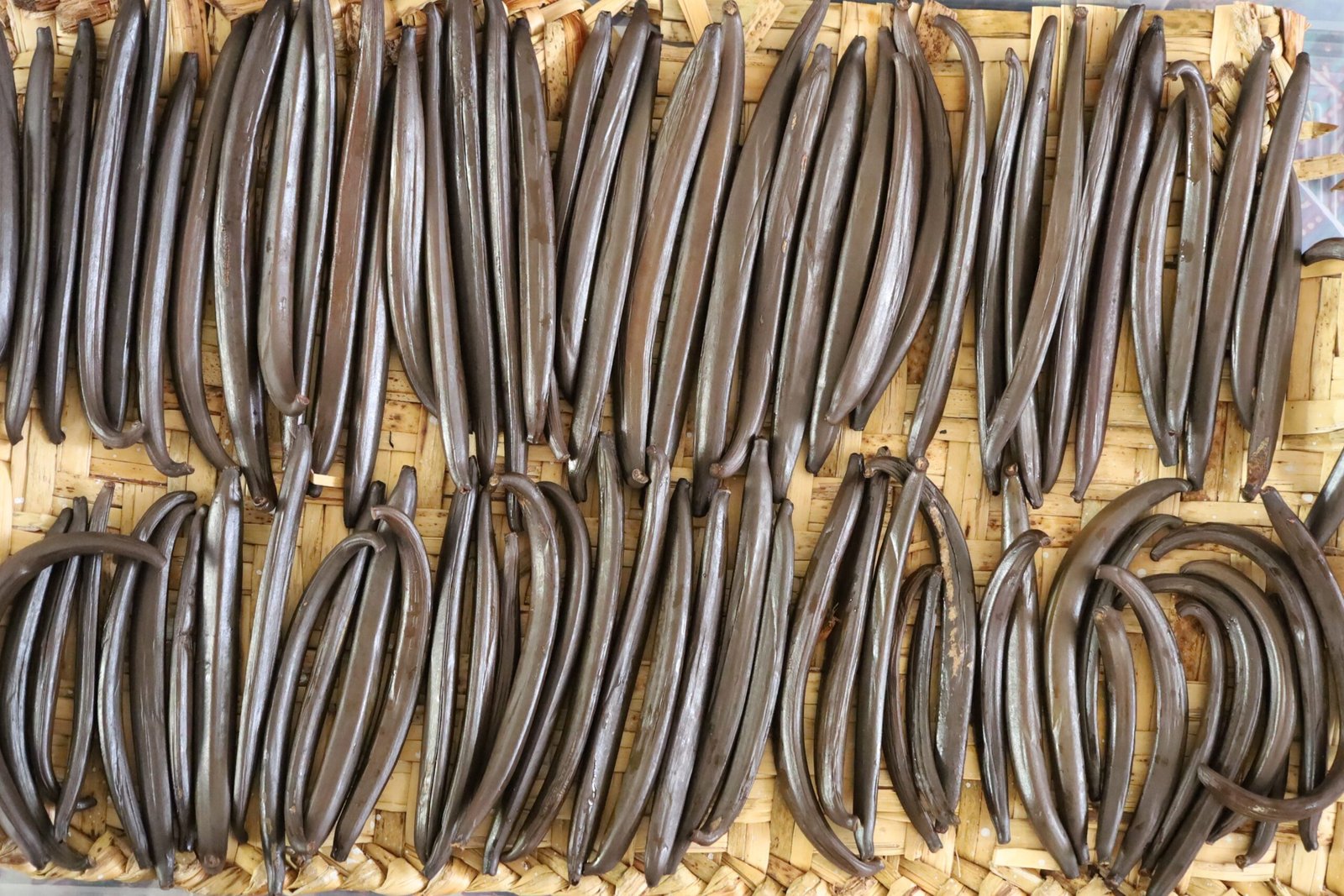 Beneficiado (Proceso de fermentación de la vainilla)
