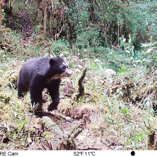 M2L68E83A0B194-E0A0B0-E0A0B0-E0A0B0-E0A0B0-C83,0