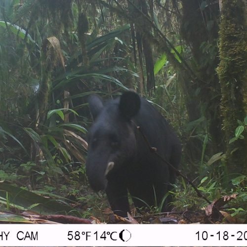 M2E64A21L54-125.0199966-125.0199966