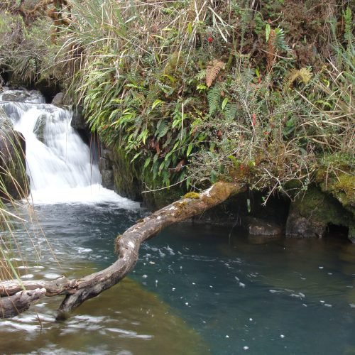 2.Nacientes de Río Verde.JPRP