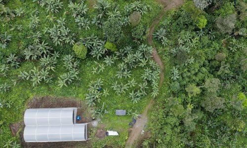 1. Construcción de invernaderos