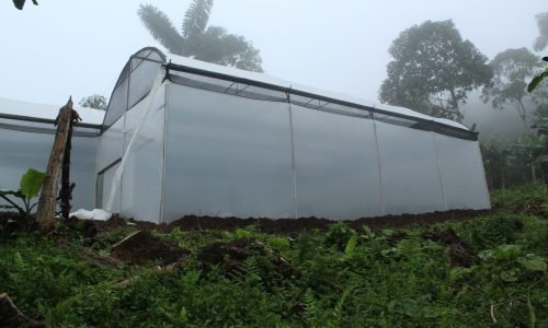 Construcción de invernaderos