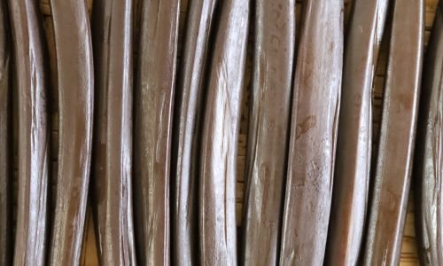 6. Beneficiado (Proceso de fermentación de la vainilla)