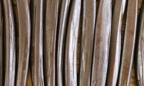 6.	Beneficiado (Proceso de fermentación de la vainilla)