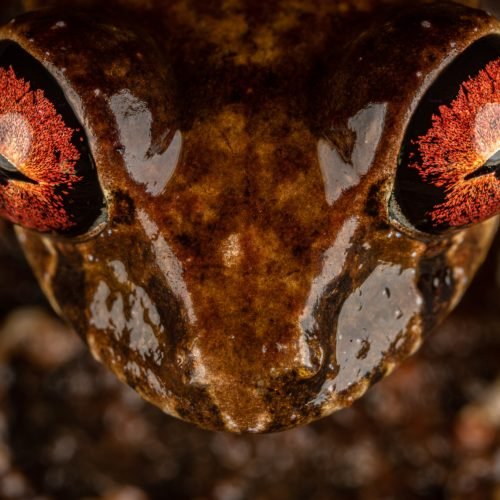 Taken on expedition with The Biodiversity Group