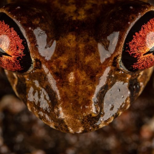 Taken on expedition with The Biodiversity Group